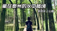 【阿思旅行日记】泰州李中水上森林公园，藏在森林里的水中秘境。做着小船看着绿荫下的白鹭，整个人都仿佛置身于仙境中。