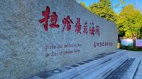 同江·拉哈苏苏海关旧址。拉哈苏苏是赫哲语，意为“老屋”。海关旧址建于1905年，俄式风格，砖木结构，是同江百年口岸仅存的历史建筑，也是东北地区保存完好的海关旧址