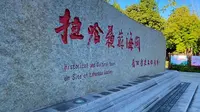 同江·拉哈苏苏海关旧址。拉哈苏苏是赫哲语，意为“老屋”。海关旧址建于1905年，俄式风格，砖木结构，是同江百年口岸仅存的历史建筑，也是东北地区保存完好的海关旧址