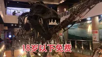 中国古动物馆的门票及有哪些活动项目？