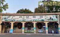 广州动物园里的动物种类太多了，带大家完整参观一遍