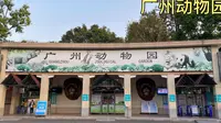 广州动物园里的动物种类太多了，带大家完整参观一遍