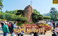 踏春正当时，漫步厦门植物园 | 漫游中国 | 厦门植物园 | 福建 厦门 | 旅行 云旅行 沉浸式 徒步 POV 白噪音 4K60