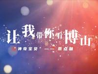 让我带你看博山---“神奇宝贝”雨点釉