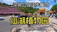 深圳公园徒步篇四：仙湖植物园