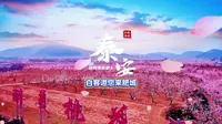 白客邀你来家乡肥城，赏十里桃花，看桃源胜境！