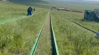 乌兰山滑草
