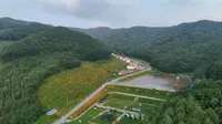 吉林省柳河县三仙夹国家森林公园