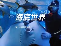 超级好玩的北海海底世界