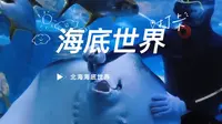 超级好玩的北海海底世界