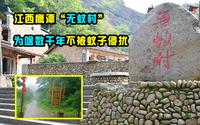 江西鹰潭惊现“无蚊村”，数千年未被蚊子侵扰，有啥科学原因？