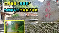 江西鹰潭惊现“无蚊村”，数千年未被蚊子侵扰，有啥科学原因？