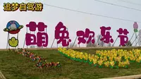 亲子游玩好去处，洛阳薰衣草庄园