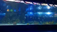 宜昌海底世界