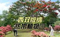 中科院热带植物园，是西双版纳唯一的5A景区，奇花异草，风光无限