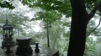 武当山后山，太子洞，听雨