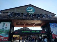 沈阳森林动物园记录存档
