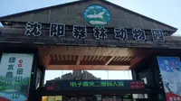 沈阳森林动物园记录存档