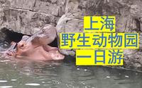 上海野生动物园游玩vlog——周末师兄带我们去的