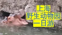 上海野生动物园游玩vlog——周末师兄带我们去的