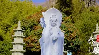 泰山普照寺探幽