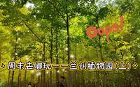 永远沉醉于自然 | 兰州植物园秋日限定