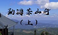 【清山茶事】云南西双版纳勐海茶山行vlog