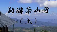 【清山茶事】云南西双版纳勐海茶山行vlog