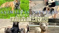 沈阳必去-沈阳森林动物园
