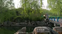 4K石家庄●秀水公园●航拍（一）