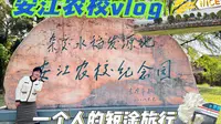 一个人的短途旅行｜安江农校纪念园｜中华木绣球｜心血来潮的快乐要狠狠抓住