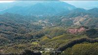 今天我们来到的是广西昭平县南山茶海，看广西美景，万亩山茶！！