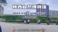 陕西自然博物馆1动物世界，恐龙展厅，务关蝴蝶昆虫，海洋生物，五一不出省，可来玩，值得一去#陕西自然博物馆 #恐龙 ＃动物世界#西安同城 #周末去哪儿