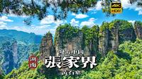 [4K HDR]奇峰如画入云端，漫步张家界黄石寨景区 | 漫游中国 | 湖南 张家界 | 云旅行 沉浸式 漫步 POV 旅行 白噪音