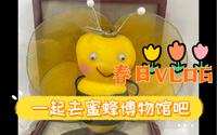 参观中国蜜蜂博物馆