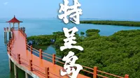【航拍日记025】湛江红树林之城·特呈岛篇