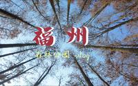 福州VLOG|福州国家森林公园