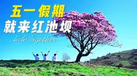 巫溪｜红池坝