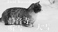 Field Recording: 【大雪】24节气声景影像志之：静音寺听雪