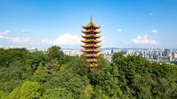 DJI_0261_重庆照母山