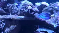 台州海洋世界一日游