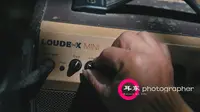 秋蝉 南昌植物园