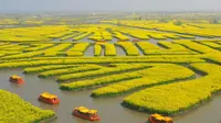 泰州水城水乡国际旅游节赏兴化千垛油菜花，3.16开园，最佳观赏期3.25开始。