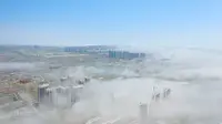这里是启东圆陀角