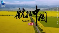 俯瞰门源花海仿佛黄绿拼接的地毯