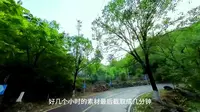 6.20 妙峰山玫瑰谷云海