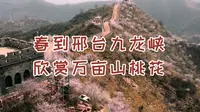 春到邢台九龙峡 纵览万亩山桃花