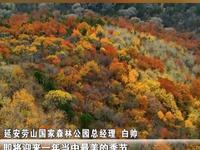 绝美！黄土高原上的植物王国秋意尽染