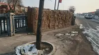 营口探路之金牛山古人类遗址