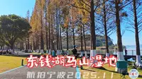 航拍宁波:东钱湖马山湿地(2025.11)